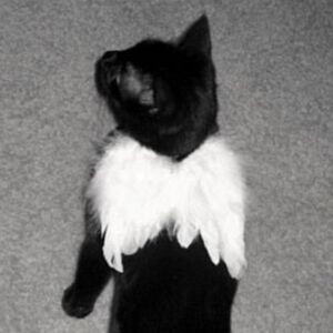 🕷 Trade post 🕷